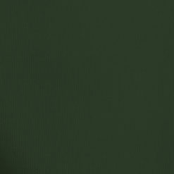 Toalha Oxford Verde Musgo