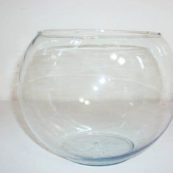 Aquário G
