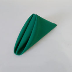 Guardanapo Oxford Verde Bandeira